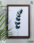Deep Green Eucalyptus - Botanical Dark Green #01 - Glass Framed Wall Art