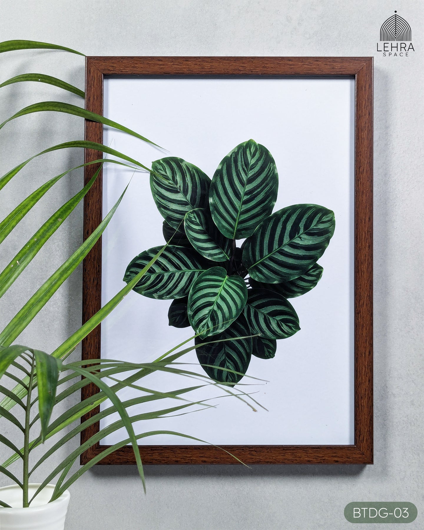 Striped Calathea Leaves - Botanical Dark Green #03 - Glass Framed Wall Art