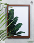 Tropical Banana Leaves - Botanical Dark Green #04 - Glass Framed Wall Art