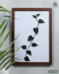 Green Pothos Vine - Botanical Dark Green #06 - Glass Framed Wall Art