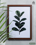 Dark Ficus Leaves - Botanical Dark Green #07 - Glass Framed Wall Art