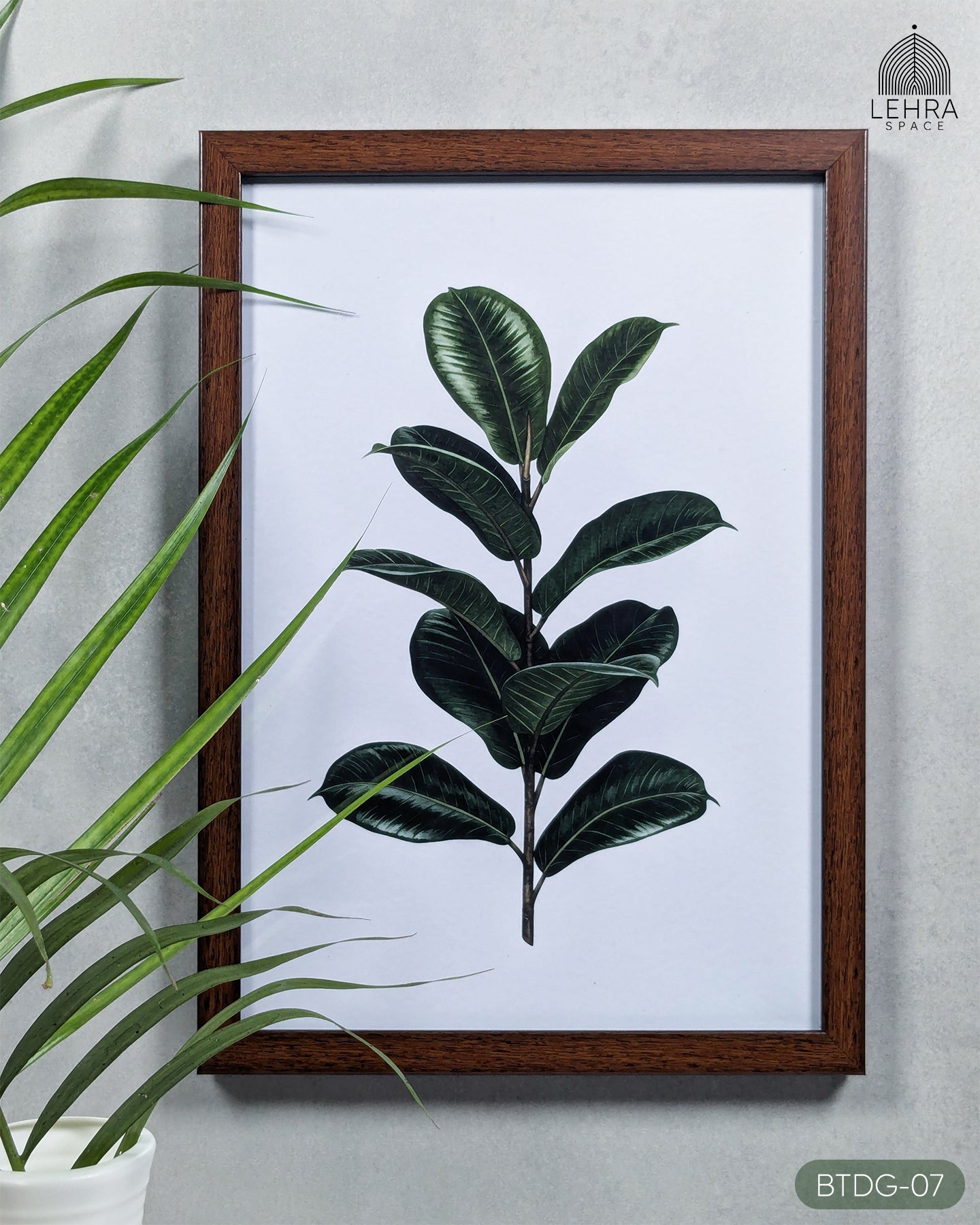 Dark Ficus Leaves - Botanical Dark Green #07 - Glass Framed Wall Art