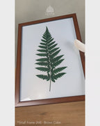 Minimalist Forest Fern - Botanical Dark Green #02 - Glass Framed Wall Art