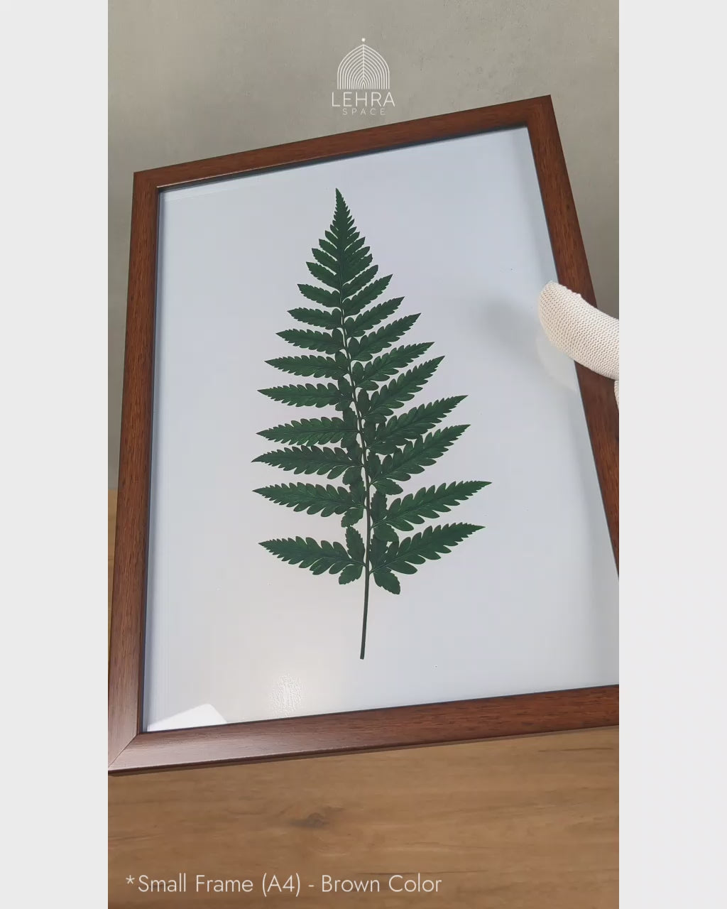 Minimalist Forest Fern - Botanical Dark Green #02 - Glass Framed Wall Art