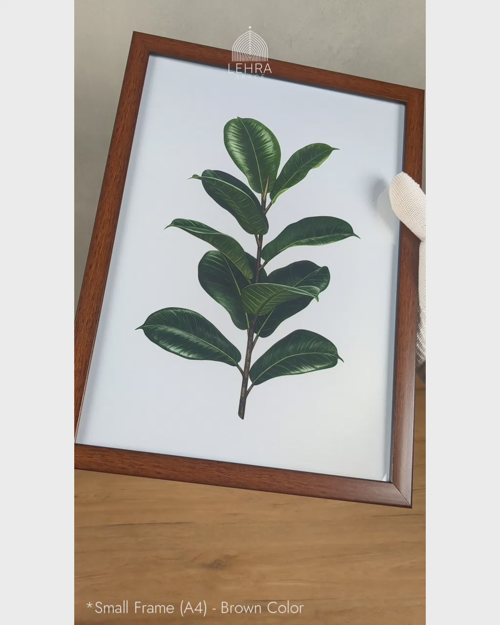 Dark Ficus Leaves - Botanical Dark Green #07 - Glass Framed Wall Art