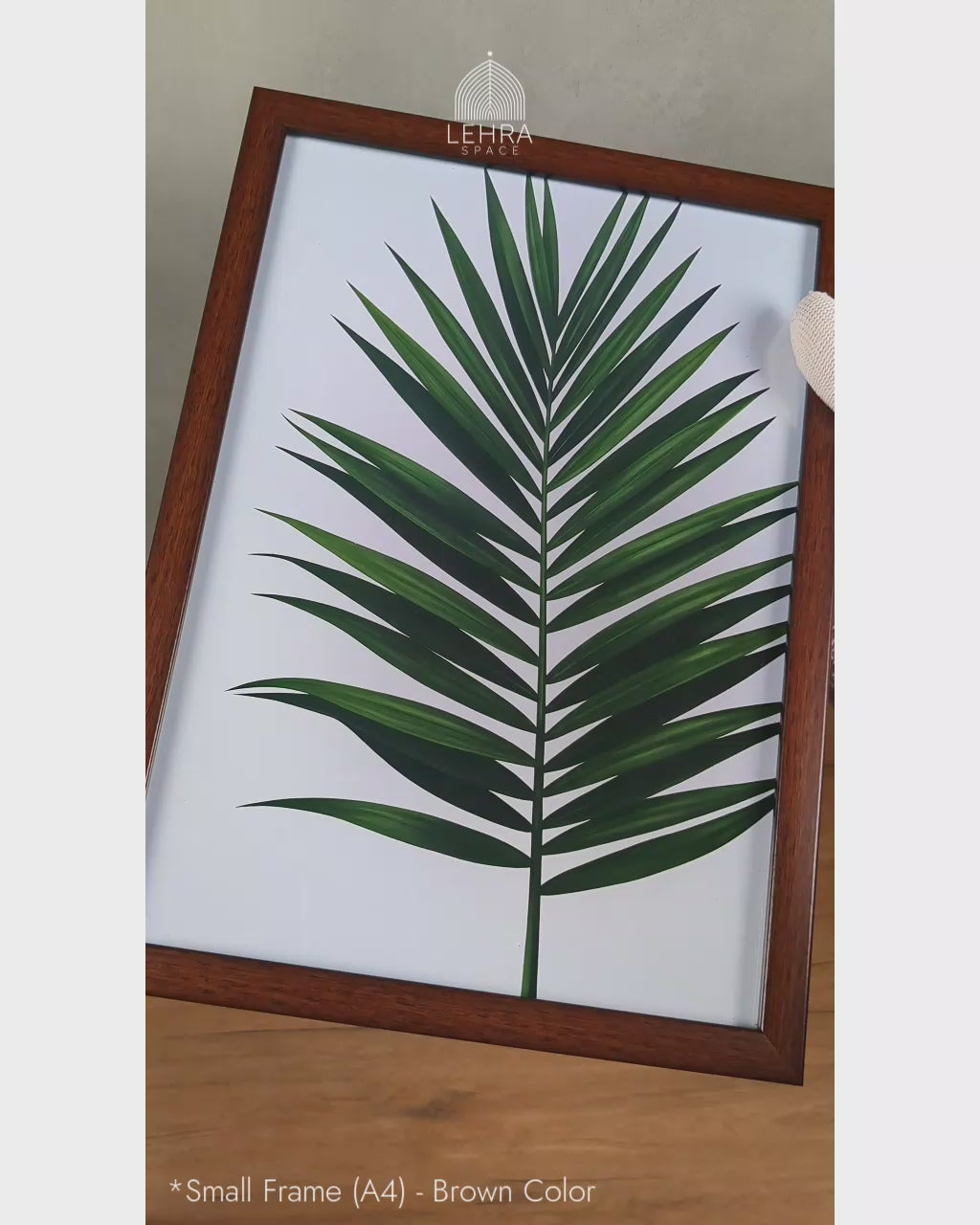 Classic Palm Frond - Botanical Dark Green #05 - Glass Framed Wall Art
