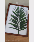 Classic Palm Frond - Botanical Dark Green #05 - Glass Framed Wall Art