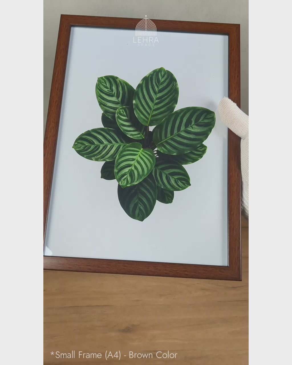 Striped Calathea Leaves - Botanical Dark Green #03 - Glass Framed Wall Art